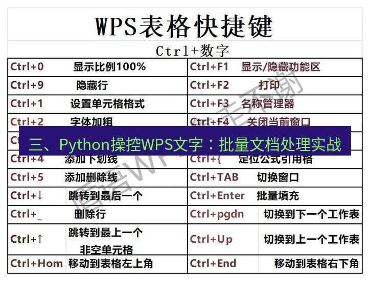 wps 三、Python操控WPS文字：批量文档处理实战