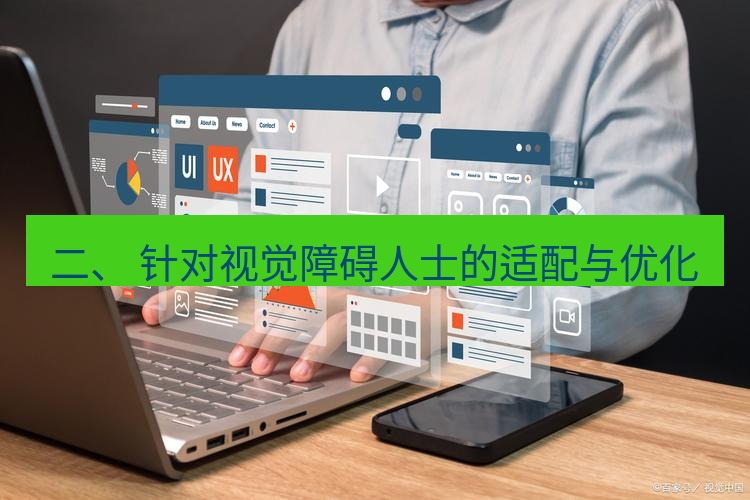 wps 二、 针对视觉障碍人士的适配与优化