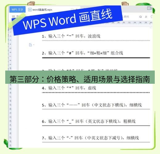 wps 第三部分：价格策略、适用场景与选择指南