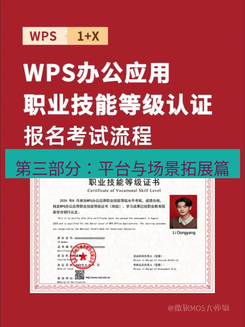 wps 第三部分：平台与场景拓展篇