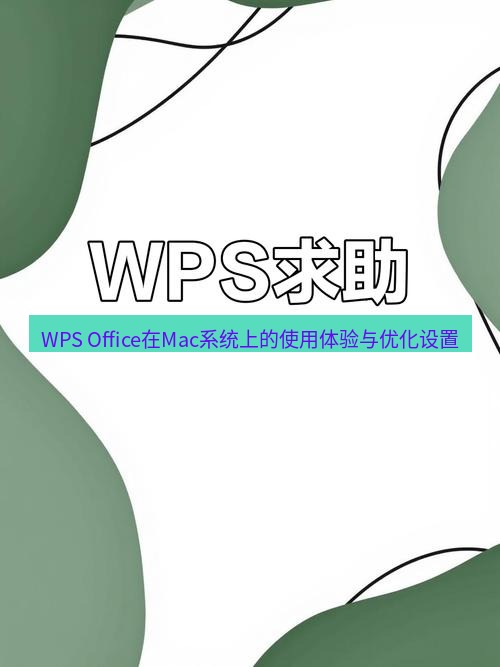 wps WPS Office在Mac系统上的使用体验与优化设置