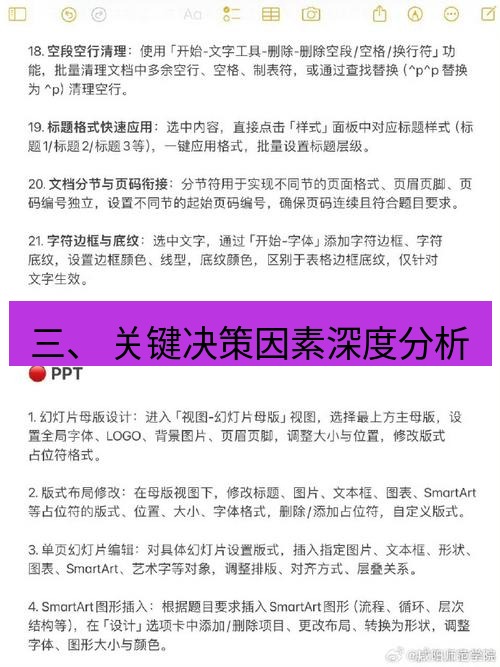 wps 三、 关键决策因素深度分析