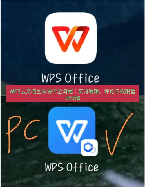 wps WPS云文档团队协作全流程：实时编辑、评论与权限管理详解