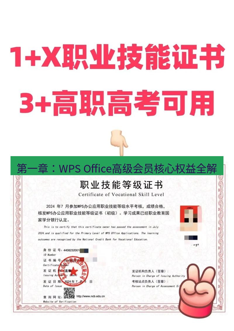 wps 第一章：WPS Office高级会员核心权益全解