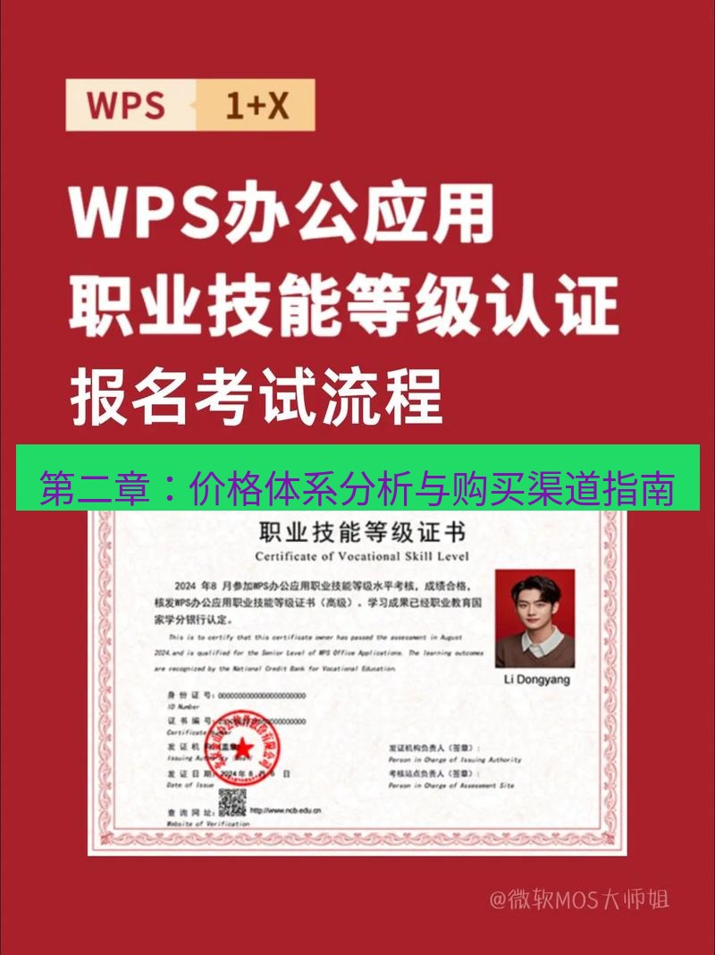 wps 第二章：价格体系分析与购买渠道指南