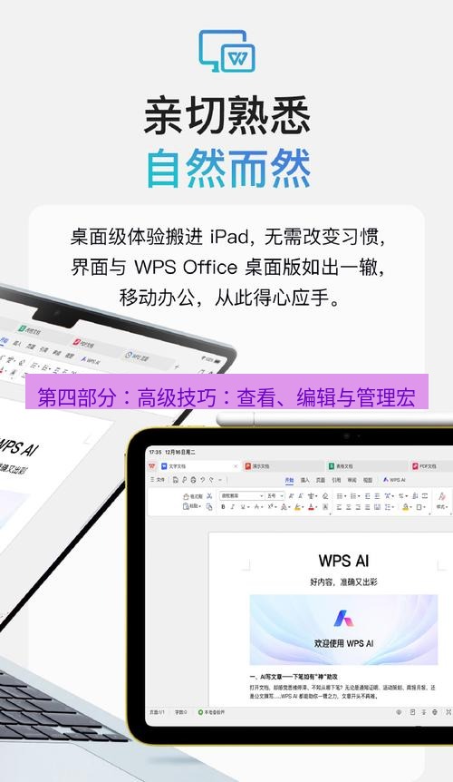 wps 第四部分：高级技巧：查看、编辑与管理宏