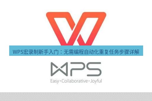 wps WPS宏录制新手入门：无需编程自动化重复任务步骤详解
