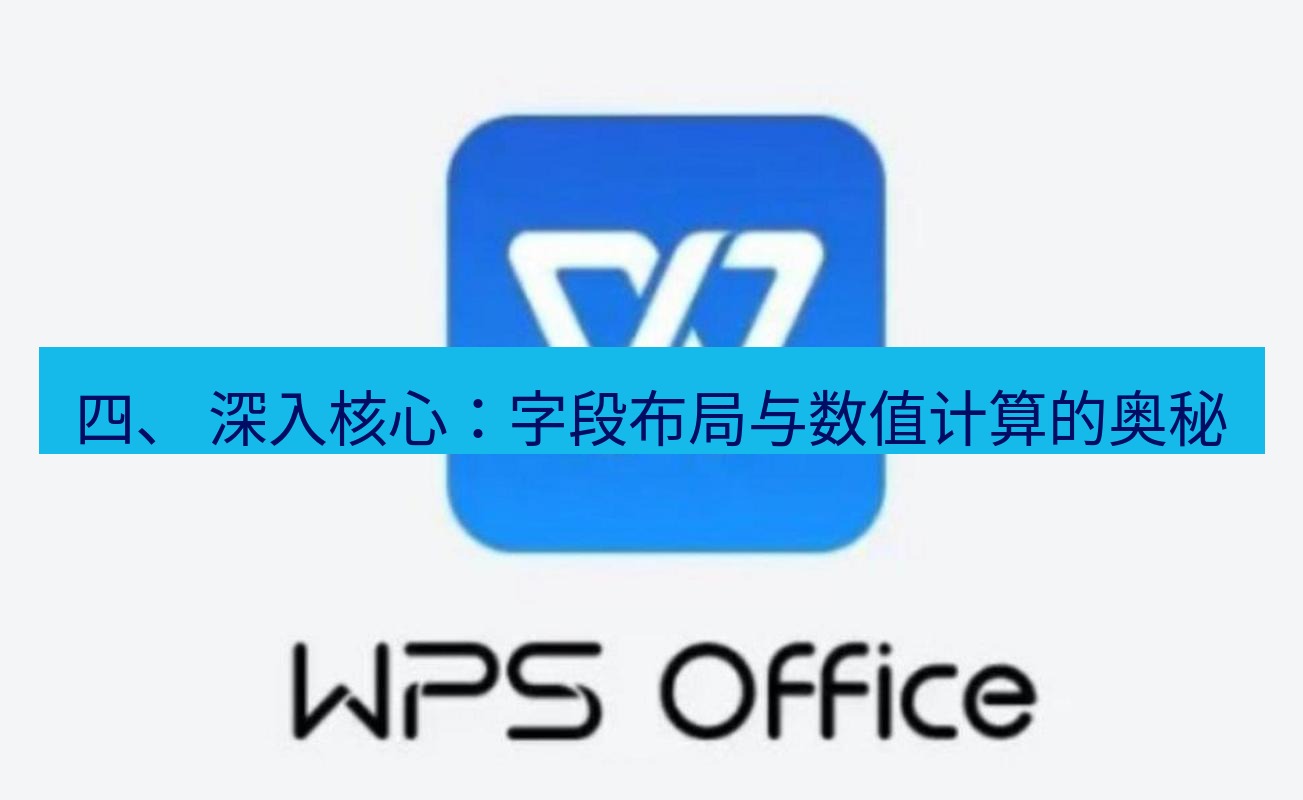 wps 四、 深入核心：字段布局与数值计算的奥秘