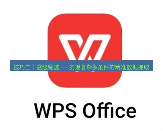 wps 技巧二：高级筛选——实现复杂多条件的精准数据提取