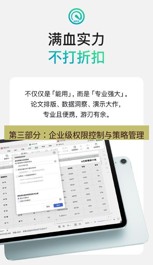 wps 第三部分：企业级权限控制与策略管理