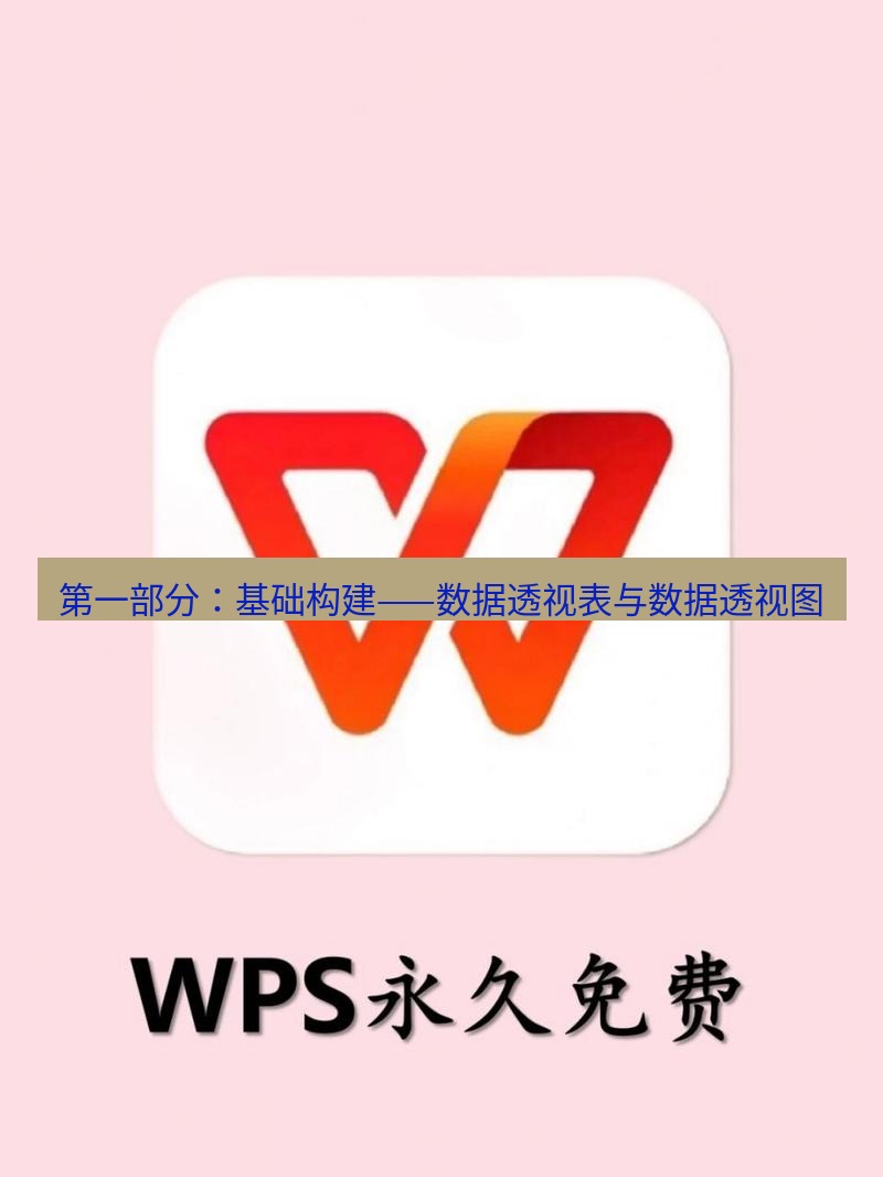 wps 第一部分：基础构建——数据透视表与数据透视图