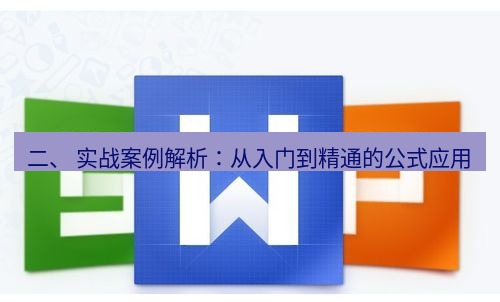 wps 二、 实战案例解析：从入门到精通的公式应用