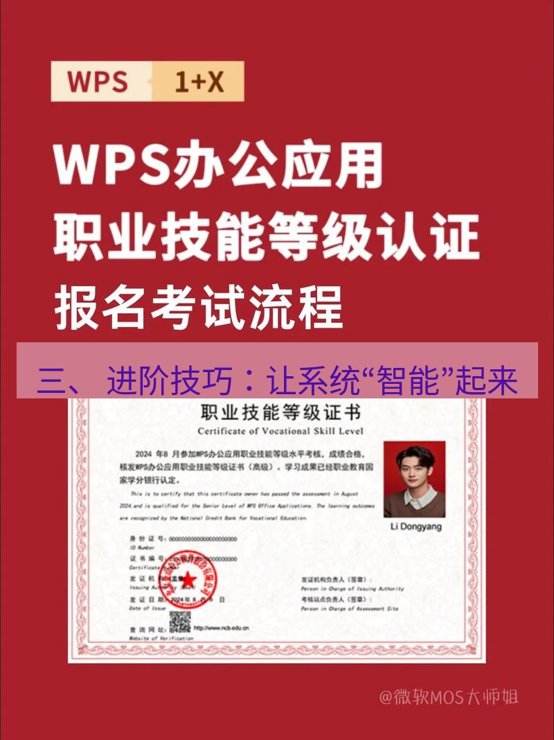 wps 三、 进阶技巧：让系统“智能”起来